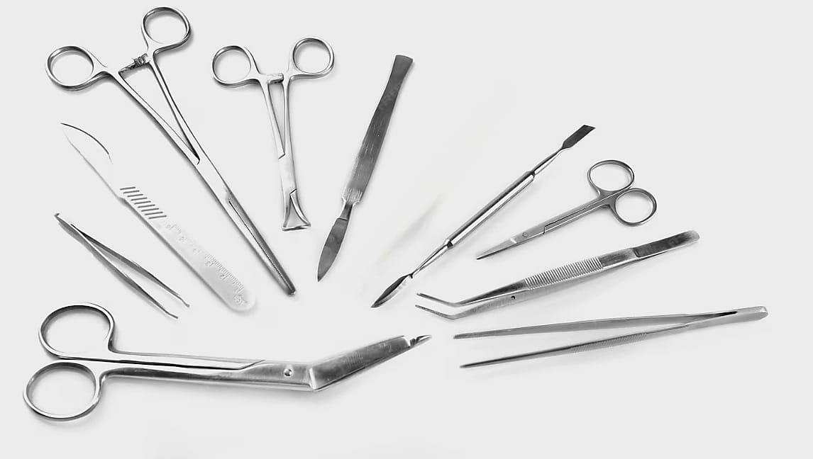 WhatsApp Image 2025 10 16 at 11.20.32 AM