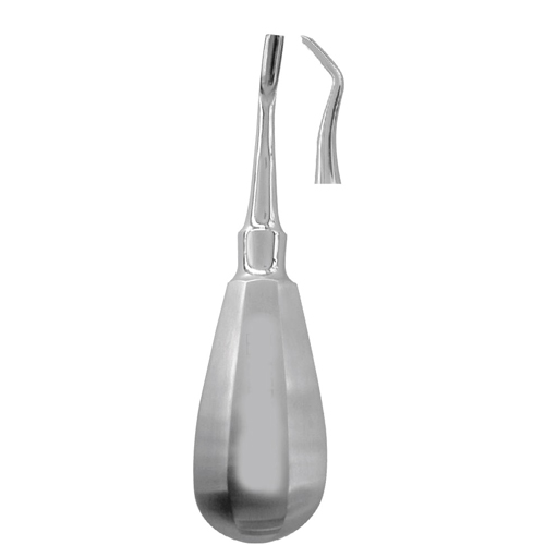 roots-elevators-friedman-size-2