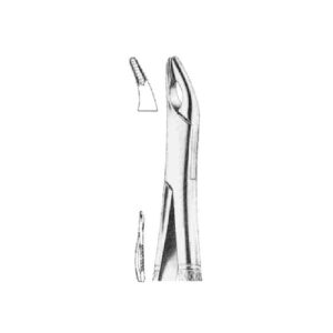 Extraction Forcep American Pattern Cryer Upper Incisors