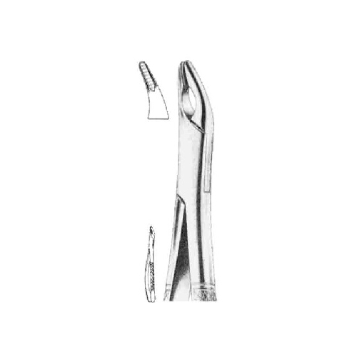 Extraction Forcep American Pattern Cryer Upper Incisors