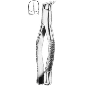 Extraction Forcep American Pattern Seprating Action