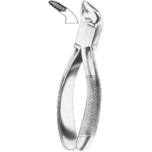 Extraction Forcep American Pattern Universal Pliers