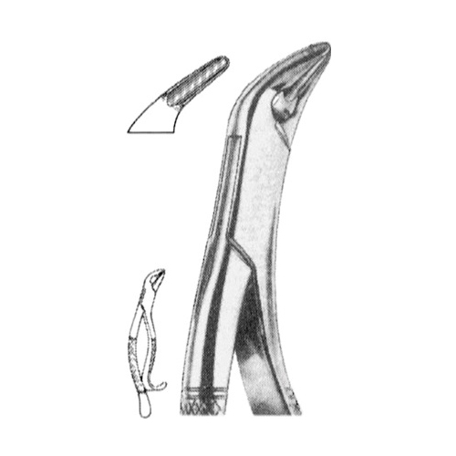 Extraction Forcep American Pattern Thomas Upper Canines, Premolars And Molars