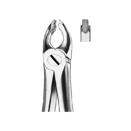 Extraction Forcep English Pattern Speciale For Upper Premolar Deeb Gripping