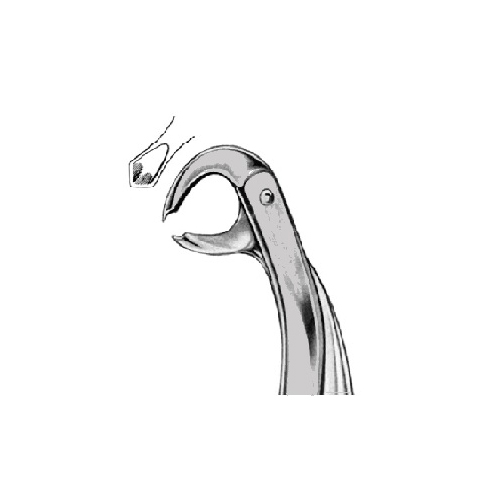 Extraction Forcep English Pattern Balding Lower Molars