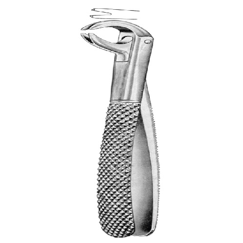 Extraction Forcep English Pattern Split Beak Universal Application