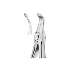 Extraction Forcep English Pattern Fragments Upper Roots