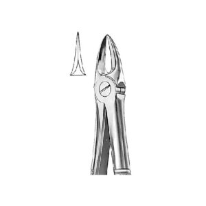 Extraction Forcep English Pattern For Seprating Upper Molars