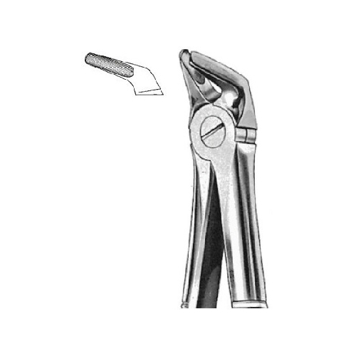 Extraction Forcep English Pattern Lower Premolars Either Side