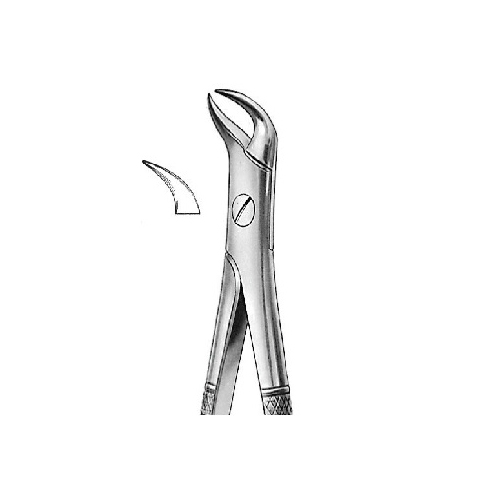 Extraction Forcep English Pattern Cow Horn Beaklower Molars Decayed Or Broken Down Crowns