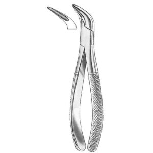 Extraction Forcep American Pattern Anatomic Handle Witzel Universal For Lower Roots