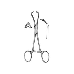 Tissue Forceps Lorna