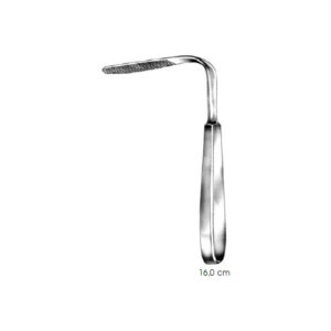 Tongue Depresser Tobald