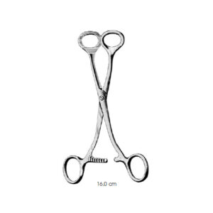 Tongue Holding Forceps, Collin