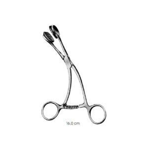 Tongue Holding Forceps, Young