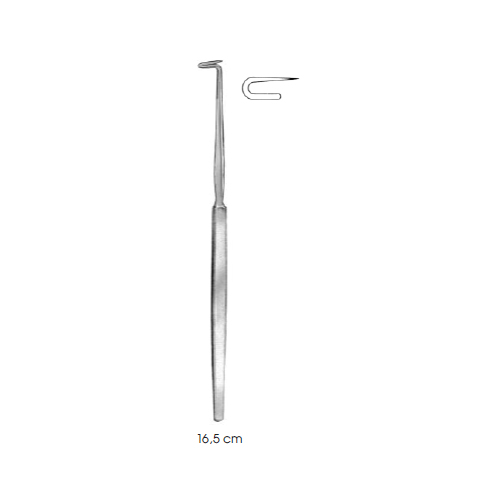 trachea-instruments-bose-right