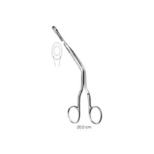 Septum Forceps, Luc, Fig. 2