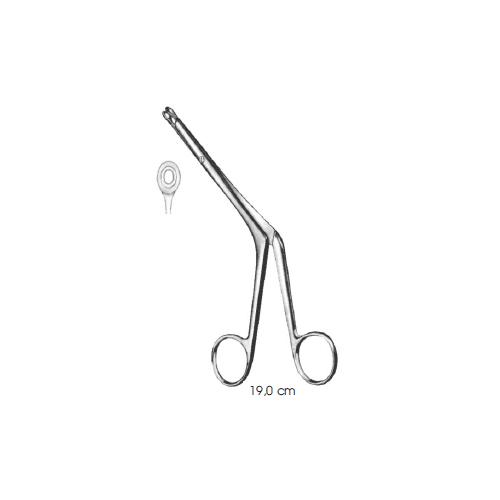 septum-forceps-brunings-fig-2