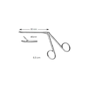 Ear Polypus Forceps, Struempel
