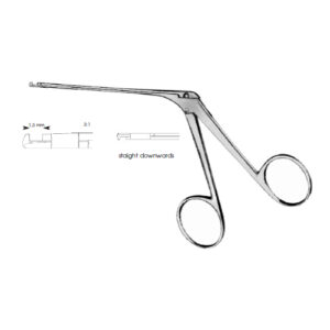 Micro Ear House-Dieter Staight Downwards