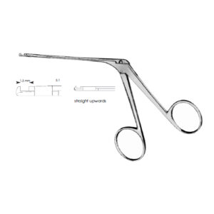 Micro Ear House-Dieter Straight Upwards