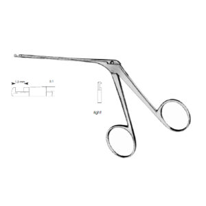 Micro Ear House-Dieter Right
