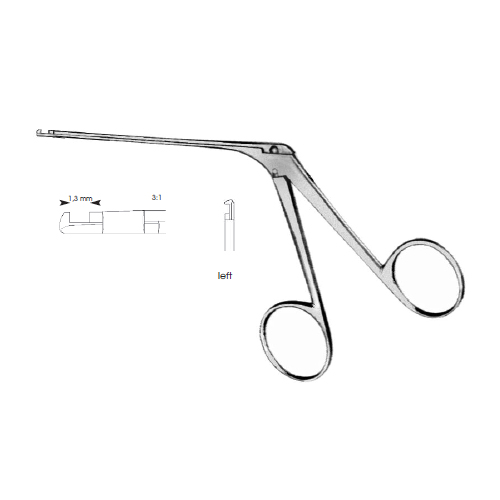 micro-ear-house-dieter-left