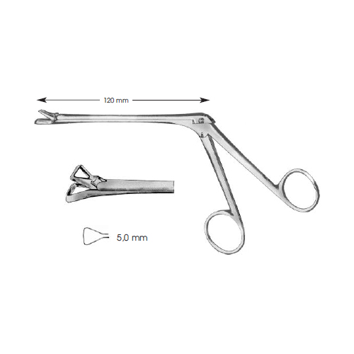 Tonsil Forceps, Schmeden Shaft Length 120 mm