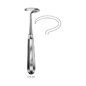 Raspatories, Doyen, Adults Right Curved