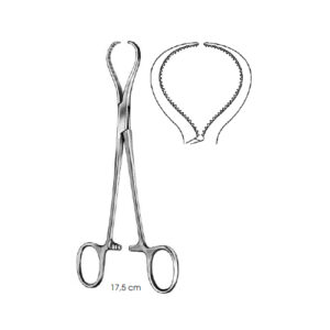 Bone Holding Forceps, Lewin