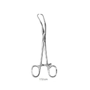 Bone Holding Forceps, Reill