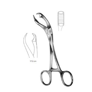 Bone Holding Forceps, Verbrugge