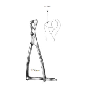 Bone Holding Forceps, Lambotte Movable Jaw